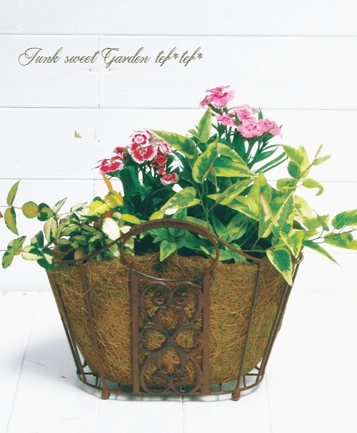 �ڻ��ߡۥ����Х�Х����åȡ� ���꡼��䥷�ޥå���