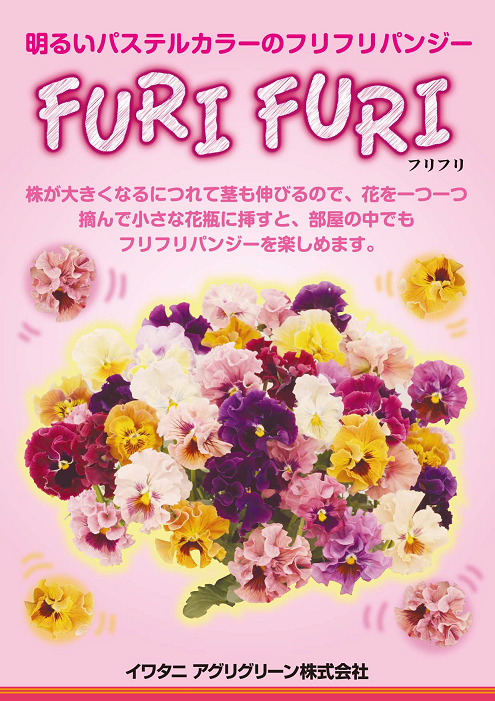 �ե��ѥ󥸡����ե�ե�إ֥��󥺡�