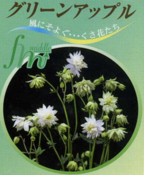 Ȭ�ź餭�����ޥ����إ��꡼�󥢥åץ륺�� ����������