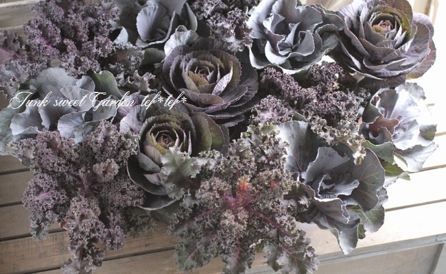 å׺餭ղð֥å륷󡡡إ٥륵