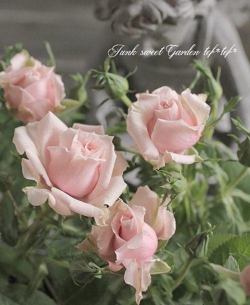 �ߥ˥Х顡�ѥƥ�������������������󡡡إ���ޥ�����������ߡ�