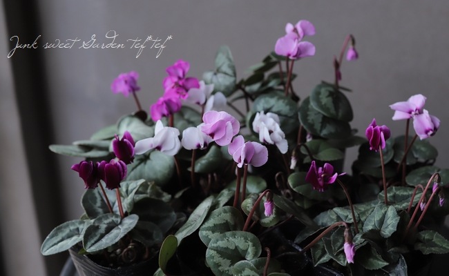 亮 إࡦС إСץ󥹡