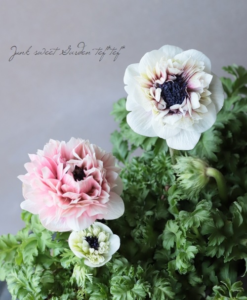 Ȭź餭ͥ͡إ󥢥ꥹ١ڥԥ󥯷ϡۡϾʤ30off