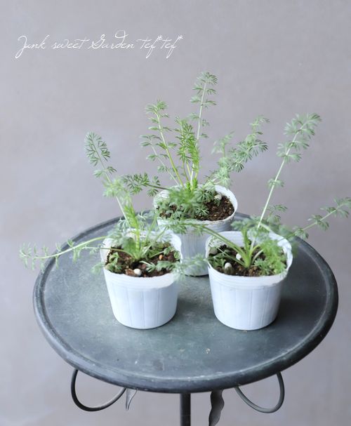 14_000000015411.jpg?1678209903