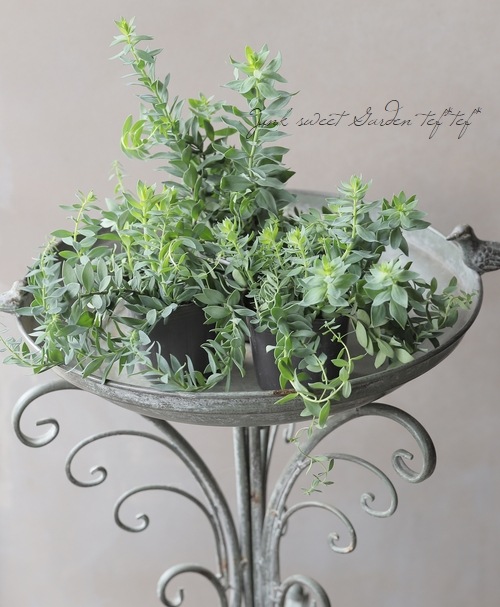 ɺʥꥢɱ𡡡إץꥳåȥ㡼ٿ