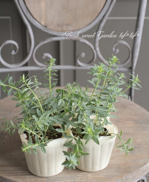 ɺʥꥢɱ𡡡إץꥳåȥ㡼ٿ