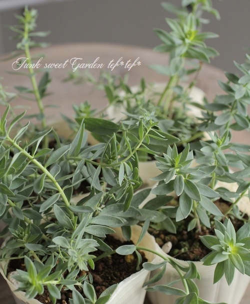 ɺʥꥢɱ𡡡إץꥳåȥ㡼ٿ