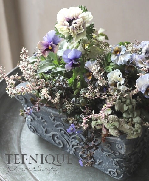 ڻߡ 󥵥쥯 L ڥ֥å