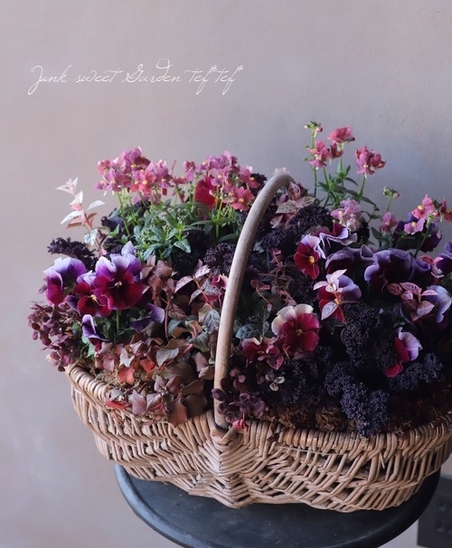 の*ん様 ❤️開花株❤️大株❤️☘️624【Ashwood】【TINKERBEL Disney Fairies/ディズニーフェアリーズ Doll/ドール Bubble Tink