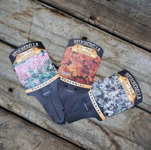 �ҥ塼�����  �إХ�������