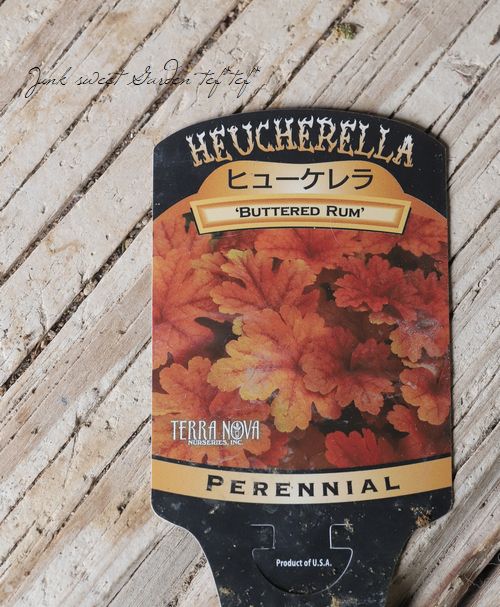 �ҥ塼�����  �إХ�������