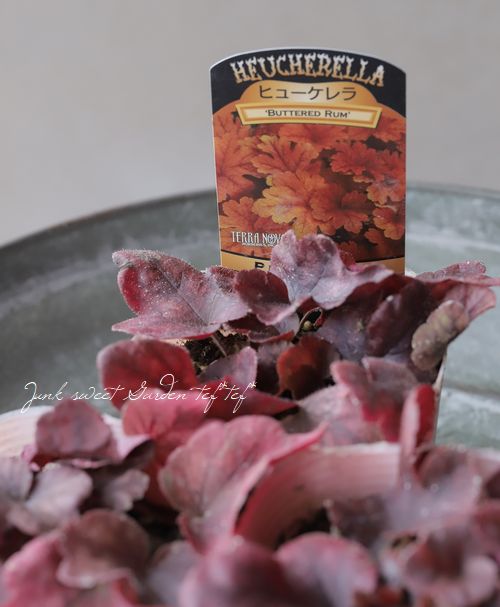 �ҥ塼�����  �إХ�������