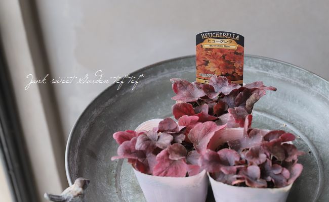 �ҥ塼�����  �إХ�������