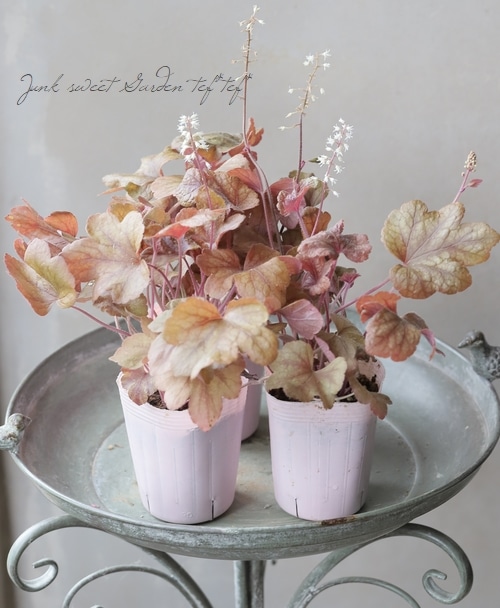 �ҥ塼�����  �إХ�������