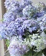 ڵȲҤ ۲֡ŷ-ޥƥܥ-  ڥѡץ