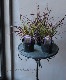 �ڥ˥����ࡡ�إѡ��ץ�ե�����ƥ󥰥饹��