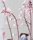 �ҥ塼�����  �إ��˥�����