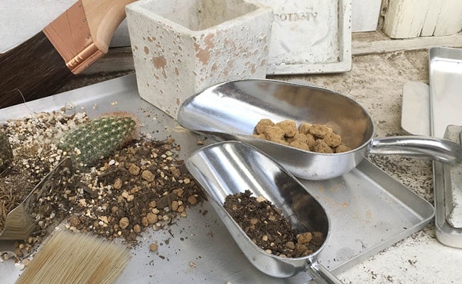 �ڻ��ߡ� �����ǥ˥󥰥����åס�L