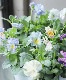 ���ե��餭�ѥ󥸡� �إ�����֥ꥨ�� �ڥ֥롼�ϡ� �����¥��ꥸ�ʥ�