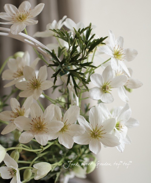 3_000000021912.jpg?1742312678