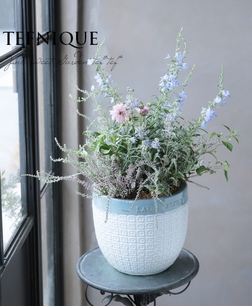 TEFNIQUE-寄せ植えの花合わせ10苗セット 『パステルエレガント』培養土