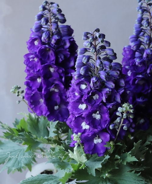 7_000000013212.jpg?1678209903