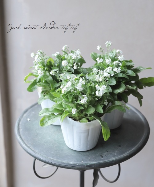 �凉��ʥ������إۥ磻�ȡ�