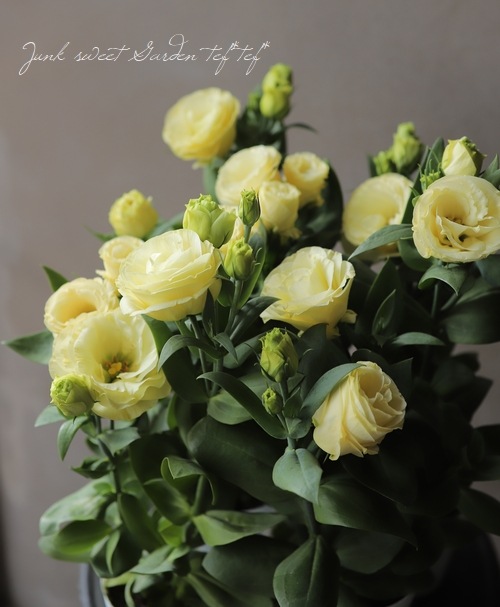 Ȭ�ź餭�ȥ륳�����祦 �إ������ʥ��������١�