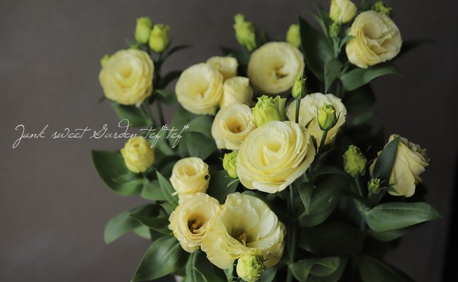 Ȭ�ź餭�ȥ륳�����祦 �إ������ʥ��������١�