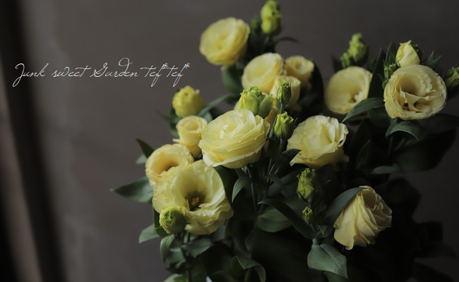 Ȭ�ź餭�ȥ륳�����祦 �إ������ʥ��������١�