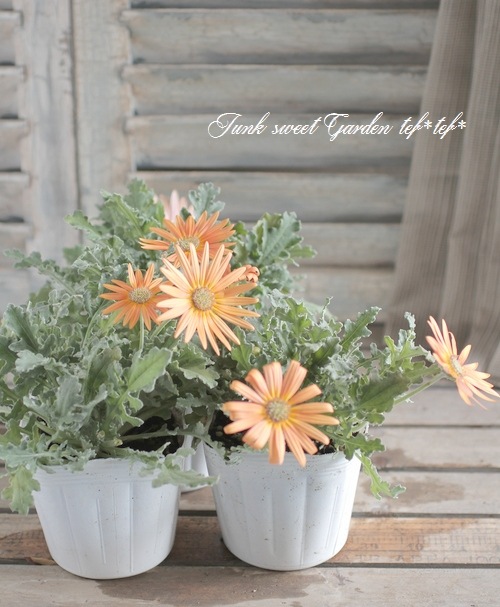 ���դ��������ɺ��� �������ȥ��� �إ���󥸡�