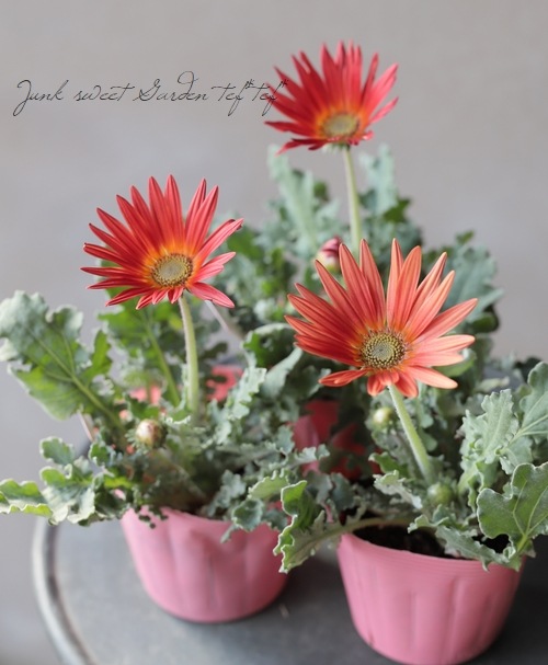 ���դ��������ɺ��� �������ȥ��� �إ���󥸡�