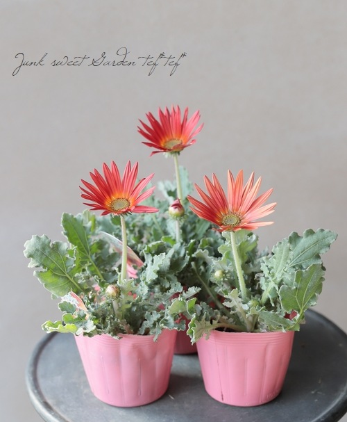 ���դ��������ɺ��� �������ȥ��� �إ���󥸡�