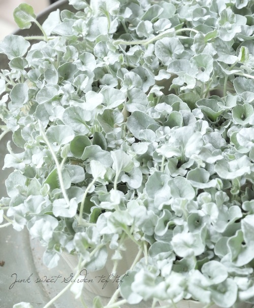 �ǥ�����ɥ顡�إ���С������ե����� ���ա�̩���ٹ�