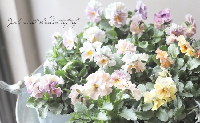 ե餭ӥ顡إ롼ٲ¡߶դඦƱȯʼ