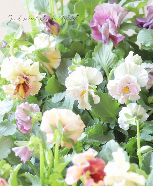 ե餭ӥ顡إ롼ٲ¡߶դඦƱȯʼ