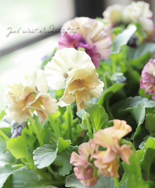 ե餭ӥ顡إ롼ٲ¡߶դඦƱȯʼ