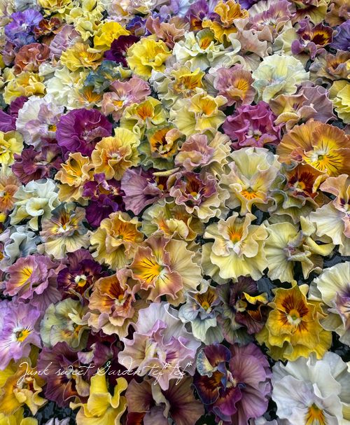 ե餭ӥ顡إ롼ٲ¡߶դඦƱȯʼ