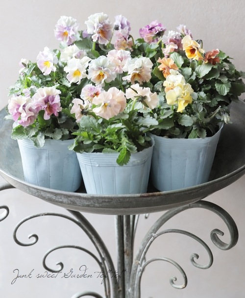 ե餭ӥ顡إ롼ٲ¡߶դඦƱȯʼ