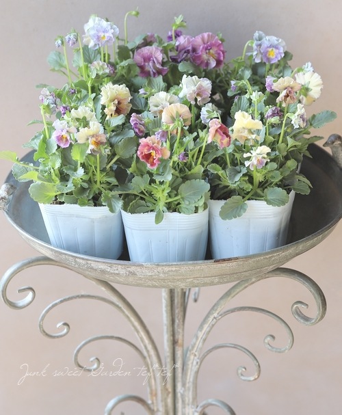 ե餭ӥ顡إ롼ٲ¡߶դඦƱȯʼ