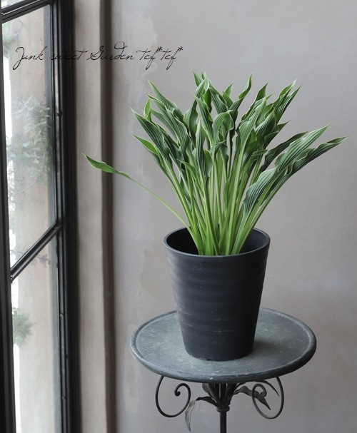 �淿�葉�ܥ��� �إץ쥤�󥰥ϥ󥺡�