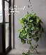 �ڴ��տ�ʪ�ۡ��ե����ǥ�ɥ��󡡡إ֥饸���