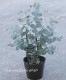 �桼���ꡡ�إ��ˡ��١��������դä�