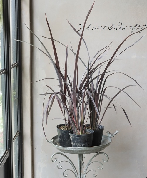 �˥塼������󡡡إ֥�å���������