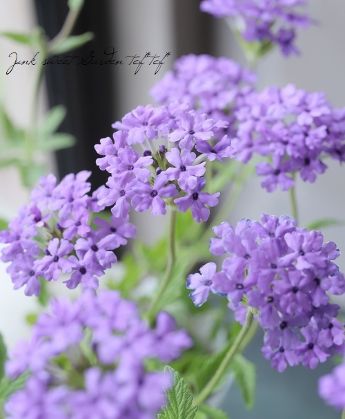 �ɺ��С��٥� �إ顦�ե�󥹡�