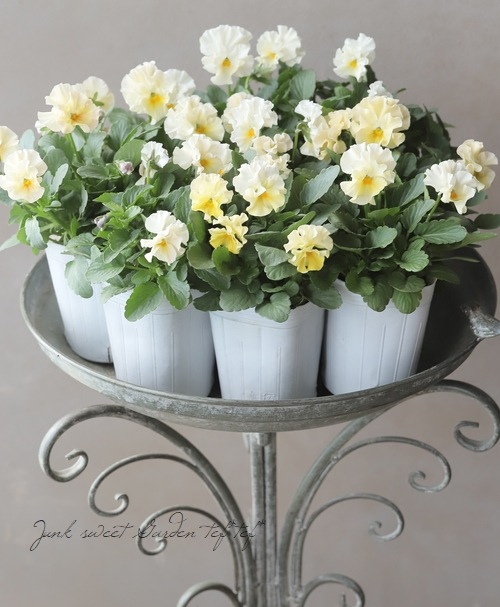 ���ե��餭�ѥ󥸡� �إ�����֥ꥨ�� �ڥ��꡼��ϡ� �����¥��ꥸ�ʥ�