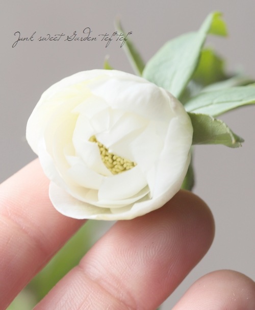 大和園】 クリスマスローズ 『ホワイトダブルカップ咲き』 2026【Q