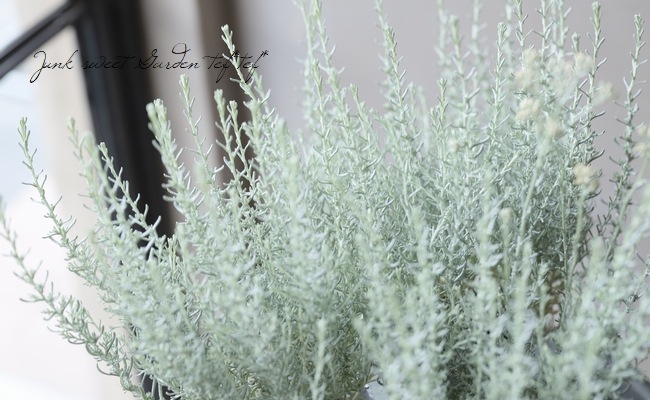 �إꥯ�ꥵ�� �إɥ�ա������ꥫ���