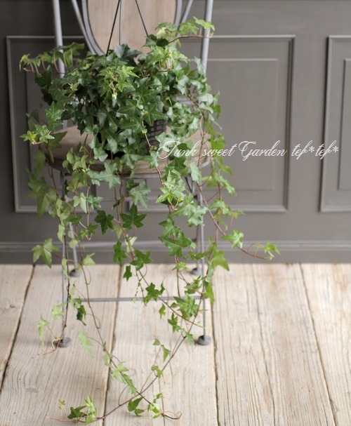 ���󥰻�Ω�ơ��إǥ顡�إ��꡼���