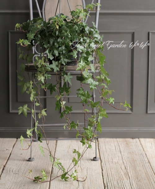 ���󥰻�Ω�ơ��إǥ顡�إ��꡼���